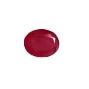 Ruby Manak pegion-red BTR110GSM - BrahmatellsStore