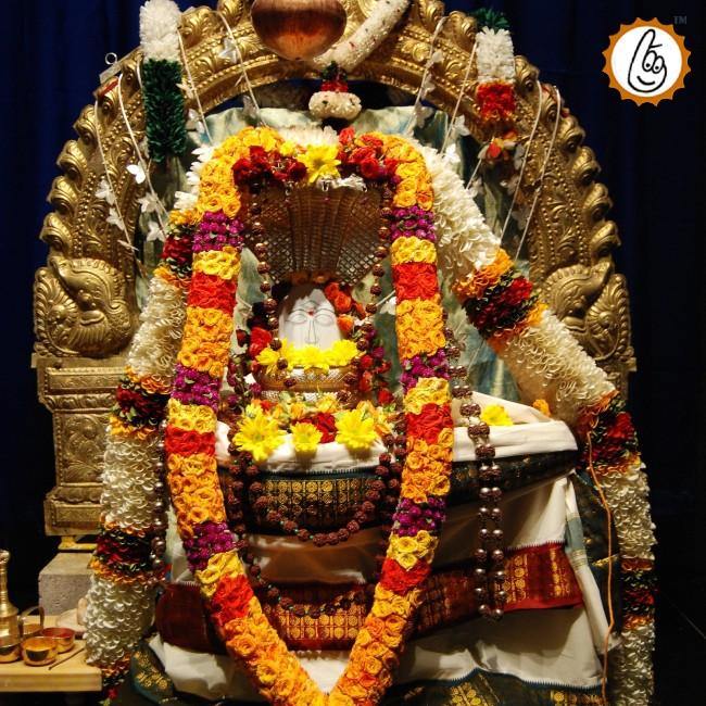 Rudra Abhishek - BrahmatellsStore