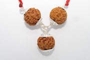 Rudraksha for Insomnia Relief: 5 Mukhi Combination | Brahmatells - BrahmatellsStore
