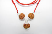Rudraksha for Insomnia Relief: 5 Mukhi Combination | Brahmatells - BrahmatellsStore