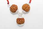 Rudraksha for Insomnia Relief: 5 Mukhi Combination | Brahmatells - BrahmatellsStore