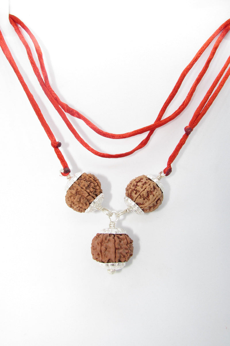 Rudraksha for Overseas Success and Travel | Brahmatells - BrahmatellsStore
