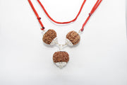 Rudraksha for Overseas Success and Travel | Brahmatells - BrahmatellsStore