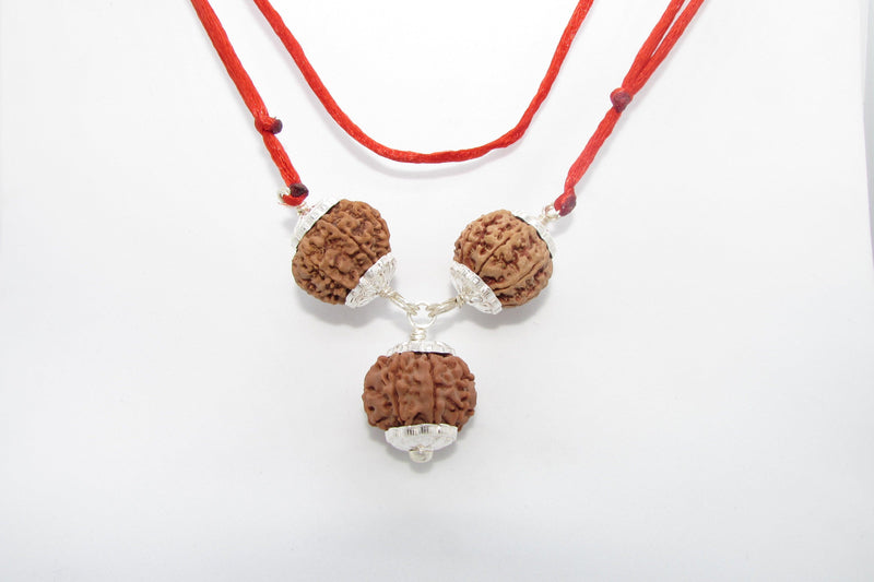 Rudraksha for Overseas Success and Travel | Brahmatells - BrahmatellsStore