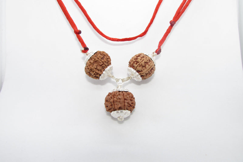 Rudraksha for Overseas Success and Travel | Brahmatells - BrahmatellsStore