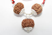 Rudraksha for Overseas Success and Travel | Brahmatells - BrahmatellsStore