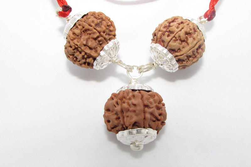 Rudraksha for Overseas Success and Travel | Brahmatells - BrahmatellsStore