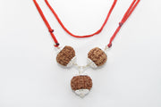 Rudraksha for Overseas Success and Travel | Brahmatells - BrahmatellsStore
