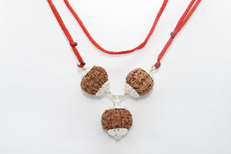 Rudraksha for Overseas Success and Travel | Brahmatells - BrahmatellsStore