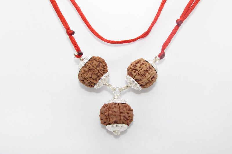 Rudraksha for Overseas Success and Travel | Brahmatells - BrahmatellsStore