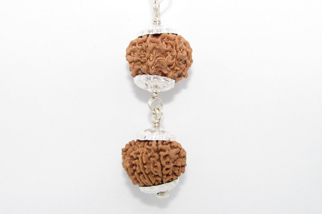 Rudraksha Harmony Beads for Wellness | Brahmatells - BrahmatellsStore