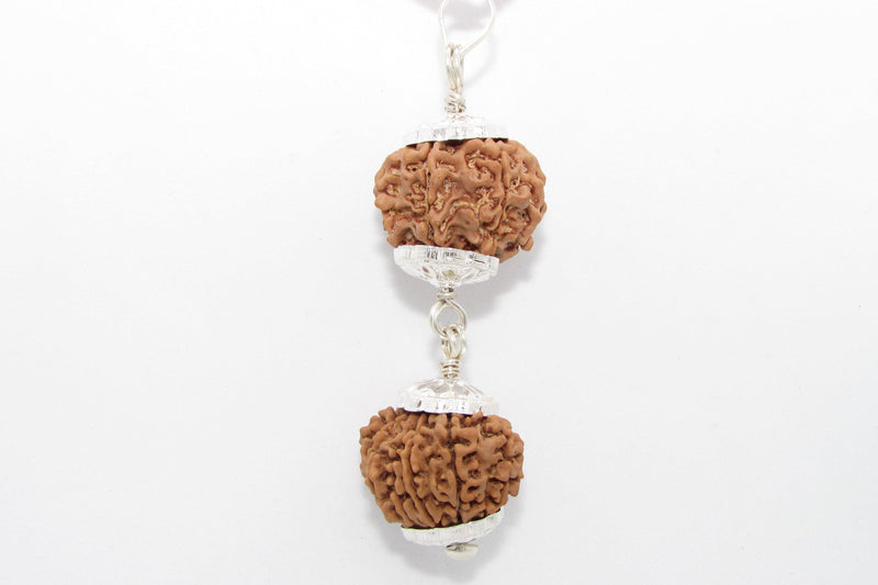Rudraksha Harmony Beads for Wellness | Brahmatells - BrahmatellsStore