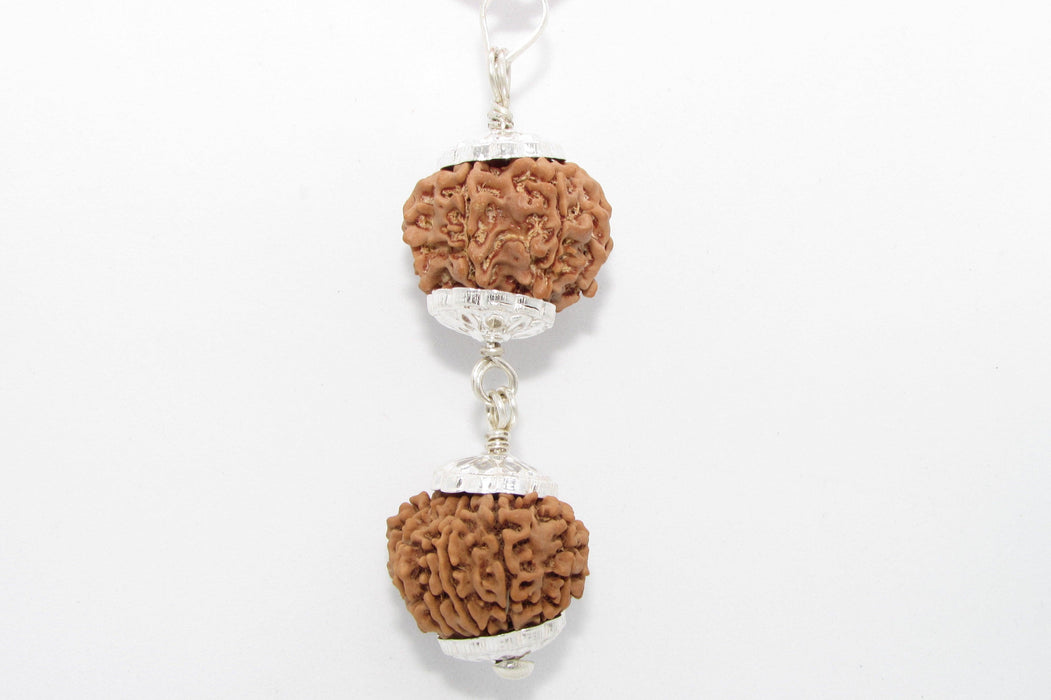 Rudraksha Harmony Beads for Wellness | Brahmatells - BrahmatellsStore