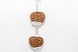 Rudraksha Harmony Beads for Wellness | Brahmatells - BrahmatellsStore