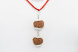 Rudraksha Harmony Beads for Wellness | Brahmatells - BrahmatellsStore