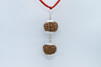 Rudraksha Harmony Beads for Wellness | Brahmatells - BrahmatellsStore