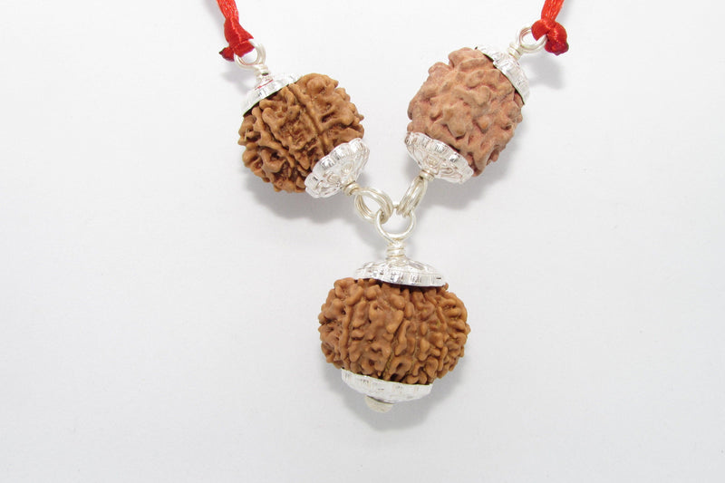 Rudraksha Pendant for Weight Loss - Balance and Harmony | Brahmatells - BrahmatellsStore