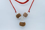 Rudraksha Pendant for Weight Loss - Balance and Harmony | Brahmatells - BrahmatellsStore