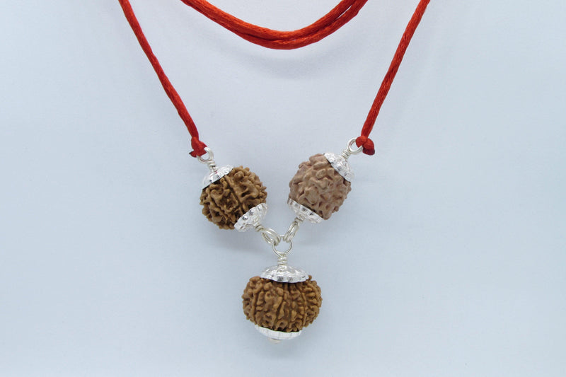 Rudraksha Pendant for Weight Loss - Balance and Harmony | Brahmatells - BrahmatellsStore