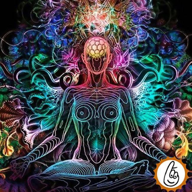 Scientific Vastu Scanning Services | Transform Your Space with Brahmatells - BrahmatellsStore