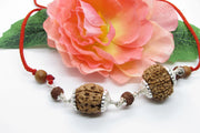 Scorpio Exclusive Rudraksh Combo - 3 & 11 Mukhi Nepal Beads | Brahmatells - BrahmatellsStore