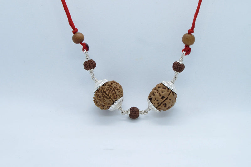 Scorpio Exclusive Rudraksh Combo - 3 & 11 Mukhi Nepal Beads | Brahmatells - BrahmatellsStore