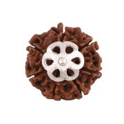 Seven Mukhi Rudraksha Silver Pendant - Unlock Prosperity & Health | Brahmatells - BrahmatellsStore