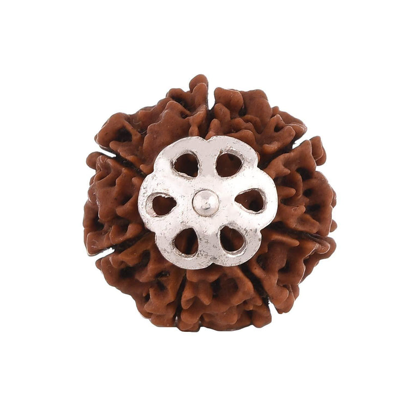 Seven Mukhi Rudraksha Silver Pendant - Unlock Prosperity & Health | Brahmatells - BrahmatellsStore