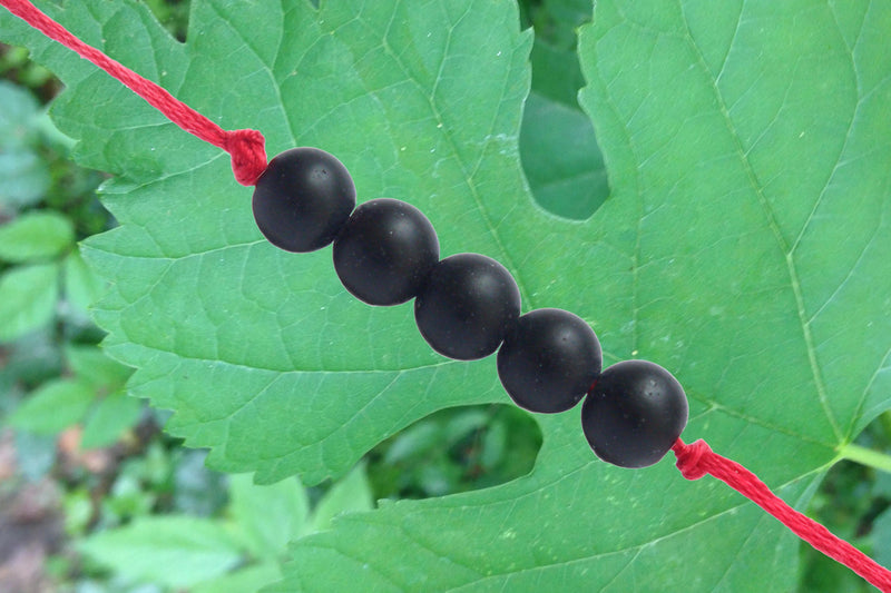 Shaligram Band - BrahmatellsStore