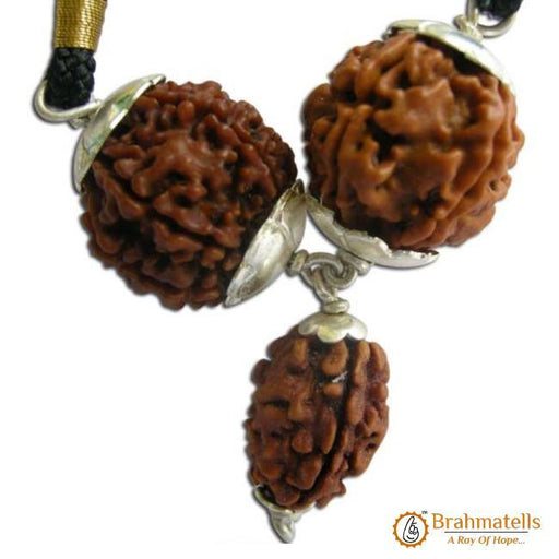 Shigra Vivah Rudraksha Pendant - Harmonizing Marital Bliss | Brahmatells - BrahmatellsStore