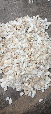 Shukra Mani Stone - BrahmatellsStore