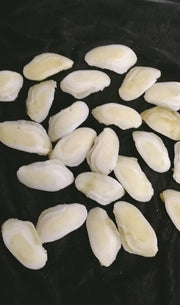 Shukra Mani Stone - BrahmatellsStore