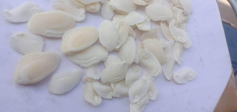 Shukra Mani Stone - BrahmatellsStore