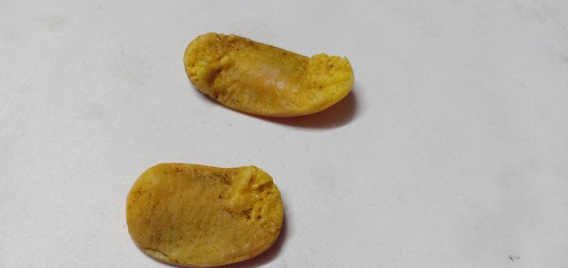 Shukra Mani Stone - BrahmatellsStore