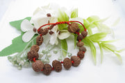 Siddha 1-14 Mukhi Java Rudraksha Bracelet - Ultimate Spiritual Accessory | Brahmatells - BrahmatellsStore