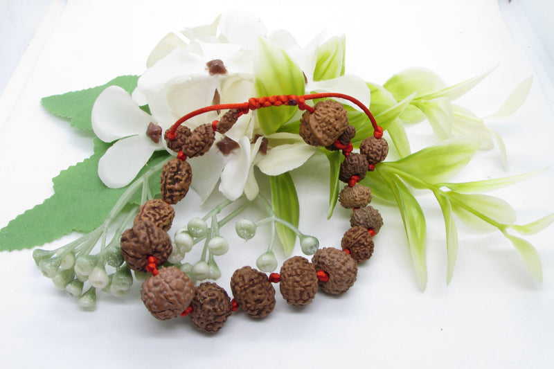 Siddha 1-14 Mukhi Java Rudraksha Bracelet - Ultimate Spiritual Accessory | Brahmatells - BrahmatellsStore