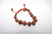 Siddha 1-14 Mukhi Java Rudraksha Bracelet - Ultimate Spiritual Accessory | Brahmatells - BrahmatellsStore