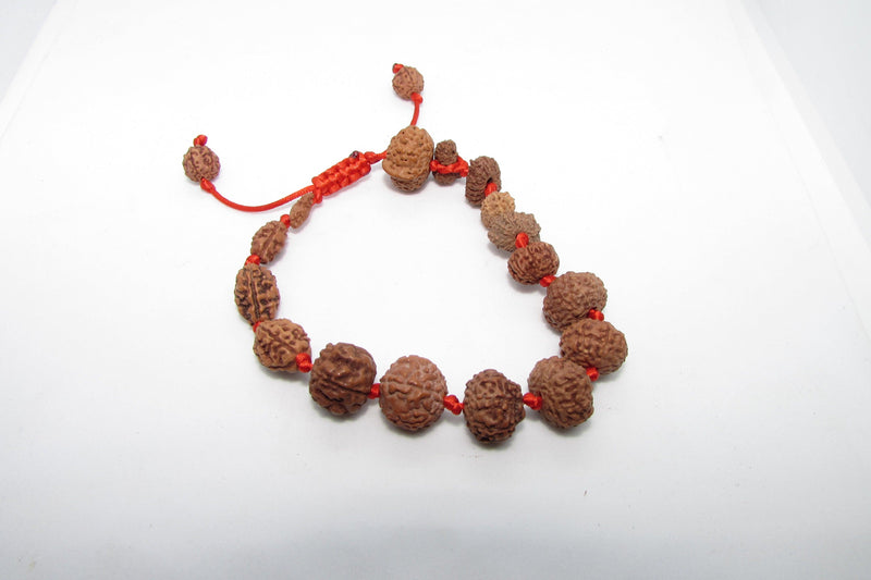 Siddha 1-14 Mukhi Java Rudraksha Bracelet - Ultimate Spiritual Accessory | Brahmatells - BrahmatellsStore