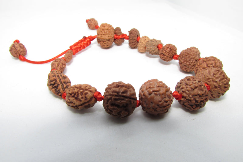 Siddha 1-14 Mukhi Java Rudraksha Bracelet - Ultimate Spiritual Accessory | Brahmatells - BrahmatellsStore