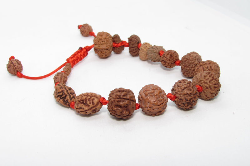 Siddha 1-14 Mukhi Java Rudraksha Bracelet - Ultimate Spiritual Accessory | Brahmatells - BrahmatellsStore