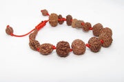 Siddha 1-14 Mukhi Java Rudraksha Bracelet - Ultimate Spiritual Accessory | Brahmatells - BrahmatellsStore