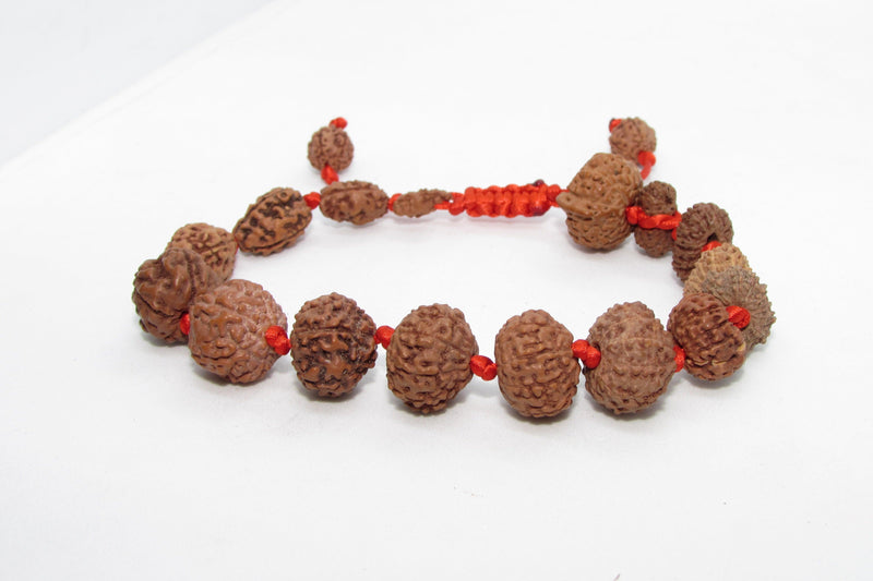 Siddha 1-14 Mukhi Java Rudraksha Bracelet - Ultimate Spiritual Accessory | Brahmatells - BrahmatellsStore