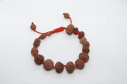 Siddha 1-14 Mukhi Java Rudraksha Bracelet - Ultimate Spiritual Accessory | Brahmatells - BrahmatellsStore