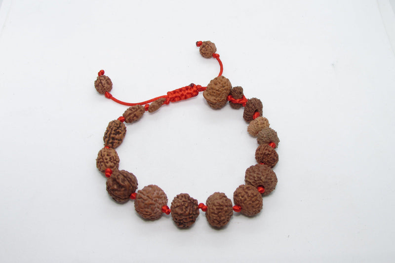 Siddha 1-14 Mukhi Java Rudraksha Bracelet - Ultimate Spiritual Accessory | Brahmatells - BrahmatellsStore