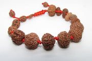 Siddha 1-14 Mukhi Java Rudraksha Bracelet - Ultimate Spiritual Accessory | Brahmatells - BrahmatellsStore