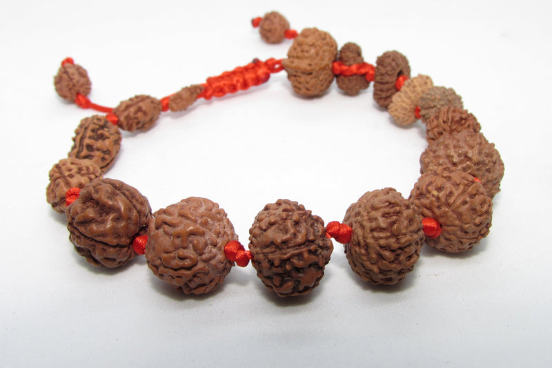 Siddha 1-14 Mukhi Java Rudraksha Bracelet - Ultimate Spiritual Accessory | Brahmatells - BrahmatellsStore