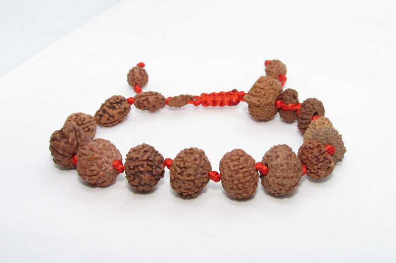 Siddha 1-14 Mukhi Java Rudraksha Bracelet - Ultimate Spiritual Accessory | Brahmatells - BrahmatellsStore