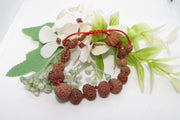 Siddha 1-14 Mukhi Java Rudraksha Bracelet - Ultimate Spiritual Accessory | Brahmatells - BrahmatellsStore