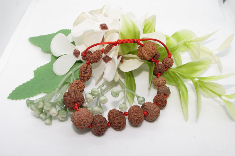 Siddha 1-14 Mukhi Java Rudraksha Bracelet - Ultimate Spiritual Accessory | Brahmatells - BrahmatellsStore