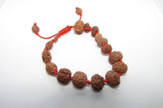 Siddha 1-14 Mukhi Java Rudraksha Bracelet - Ultimate Spiritual Accessory | Brahmatells - BrahmatellsStore